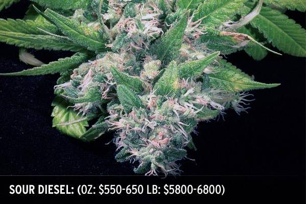 [MJ+Sour+Diesel.jpg]