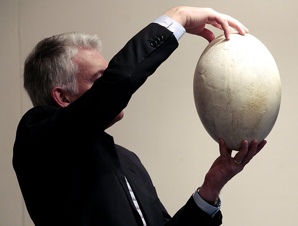 [Great+Elephant+Bird+egg.jpg]