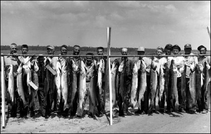[Muskie+fever.jpg]