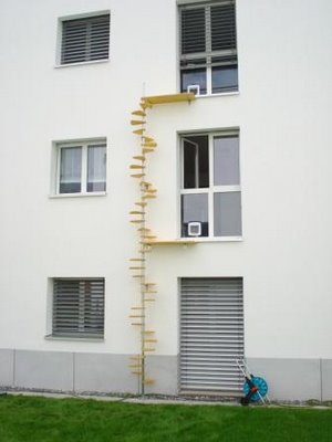 [cat+ladder+2.jpg]