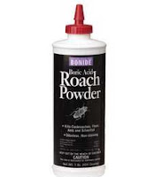 A bottle of roach powder. 