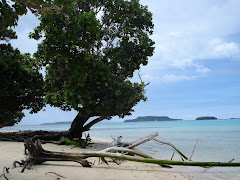 Tongan Beach