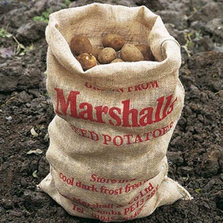 [product_1509_3_large.jpg]