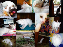 :: LUVLY PET ::