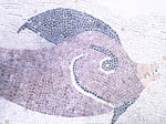 Mosaico con detalle de pez