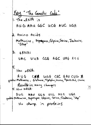 DNA: Codons Answer Key