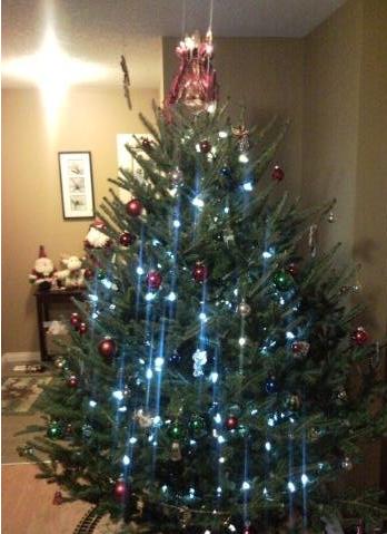 How Much Does Your Christmas Tree Really Cost? ~ Jessie's Money & Our