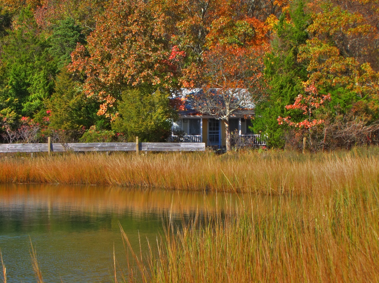 From The North Fork Long Island South Harbor Beach