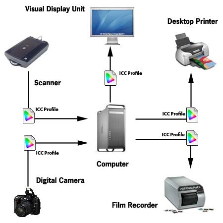 Four Basic Categories of Output Devices of a Computer