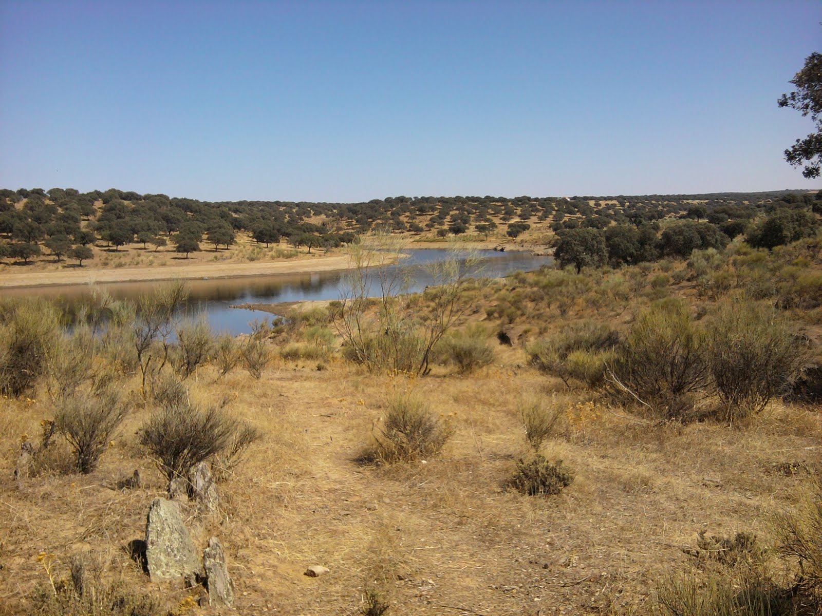 LucioBass Jornada 39 Embalse de TorrejónTajo 28082010