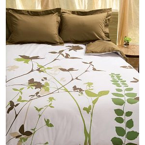 [Spring+Leaves+IC.jpg]