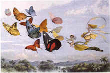 En el país de las hadas Richard Doyle