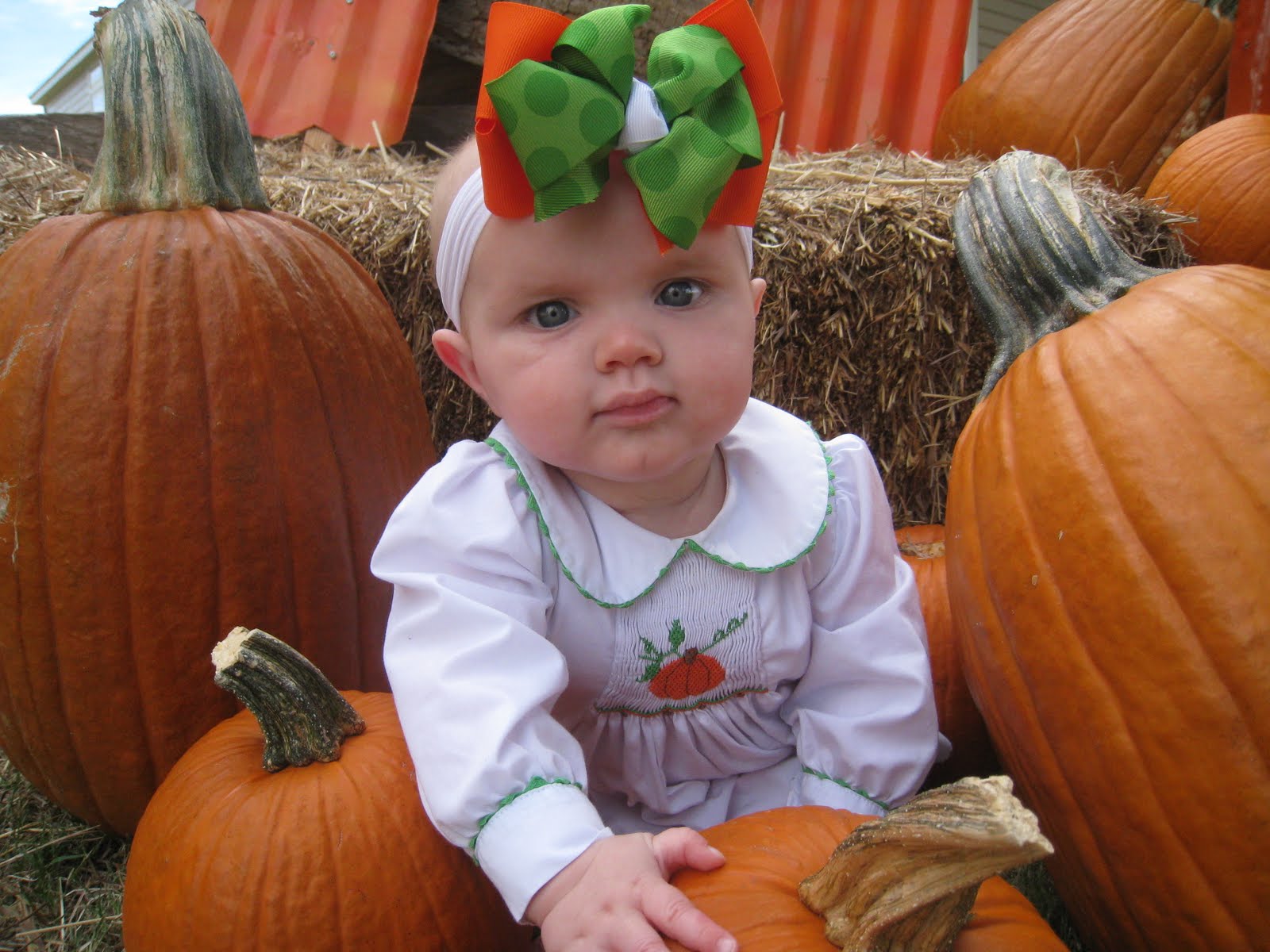 [October+3,+2009+052.JPG]