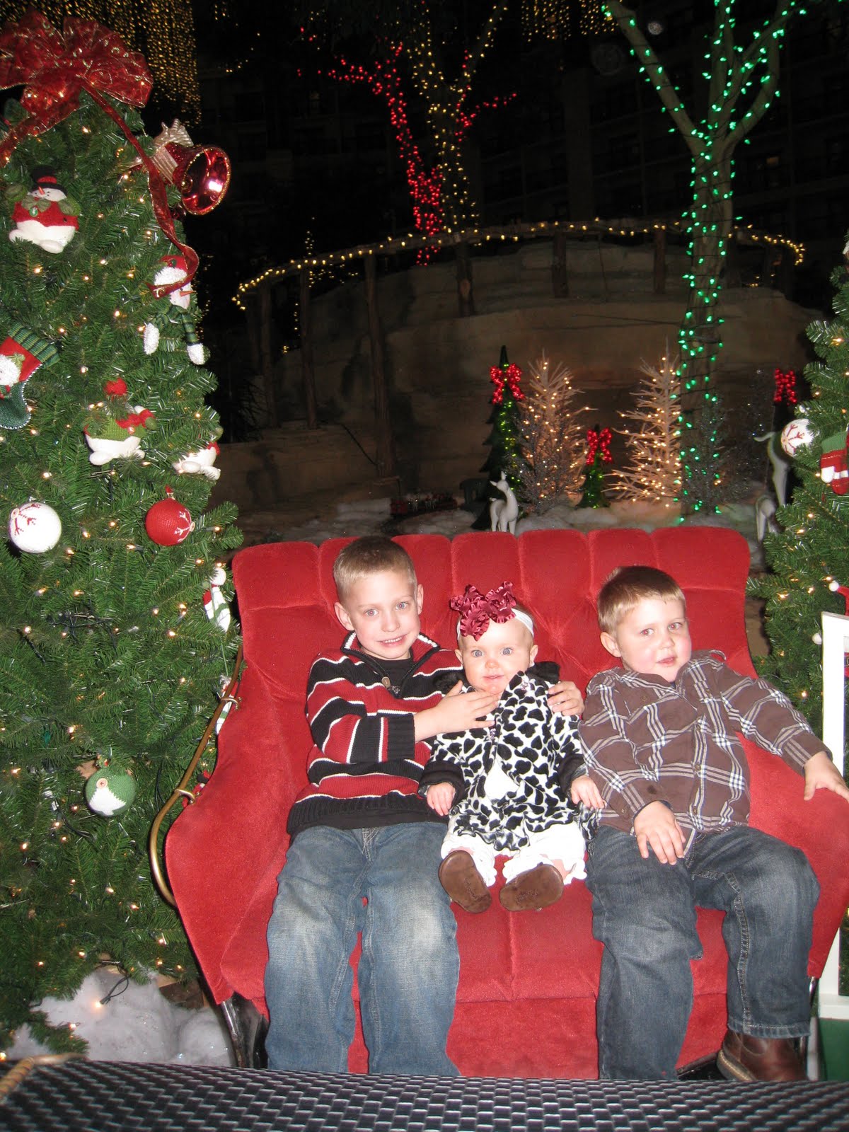 [December+17,+2009+030.JPG]