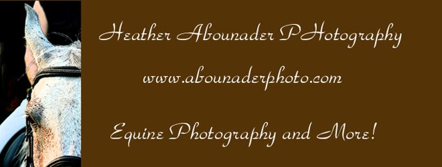 Heather Abounader Photography Blog