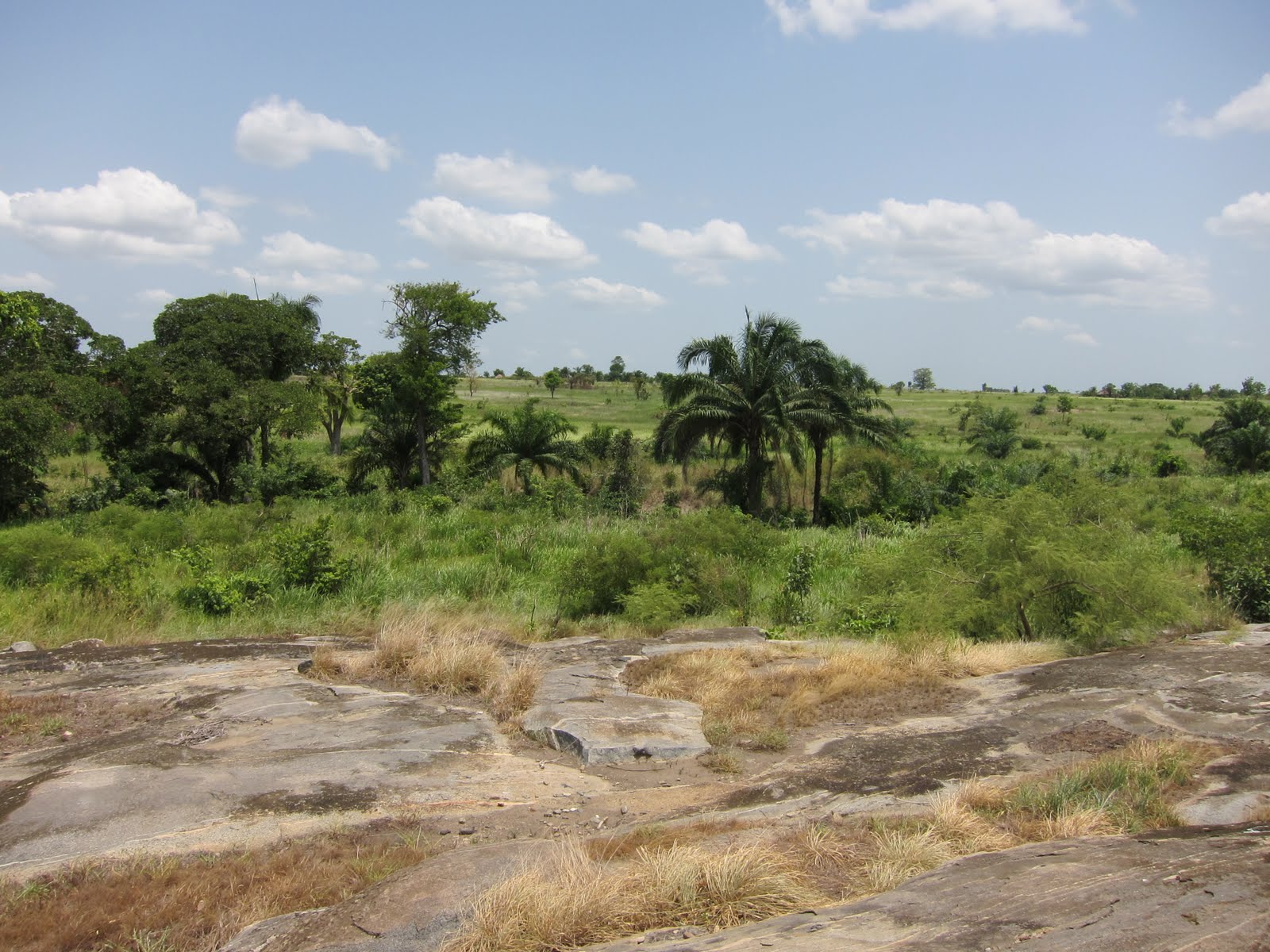 Vision Onward Togo, West Africa Land Purchased