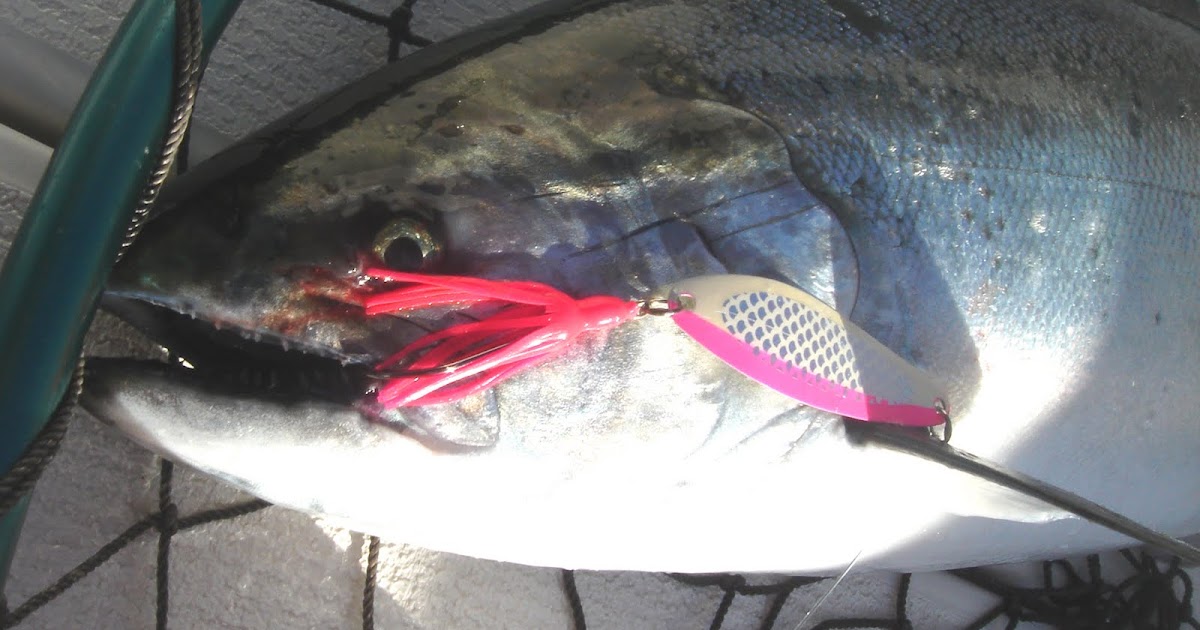 Northwest Salmon and Steelhead Fishing: "New" Tailwagger Hoochie Hook