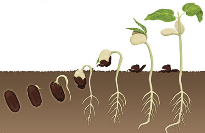From The Pages of Love: Refuse To Let It Grow!