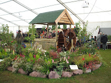 The Millers Garden - Dundee Flower Show Sept 2010