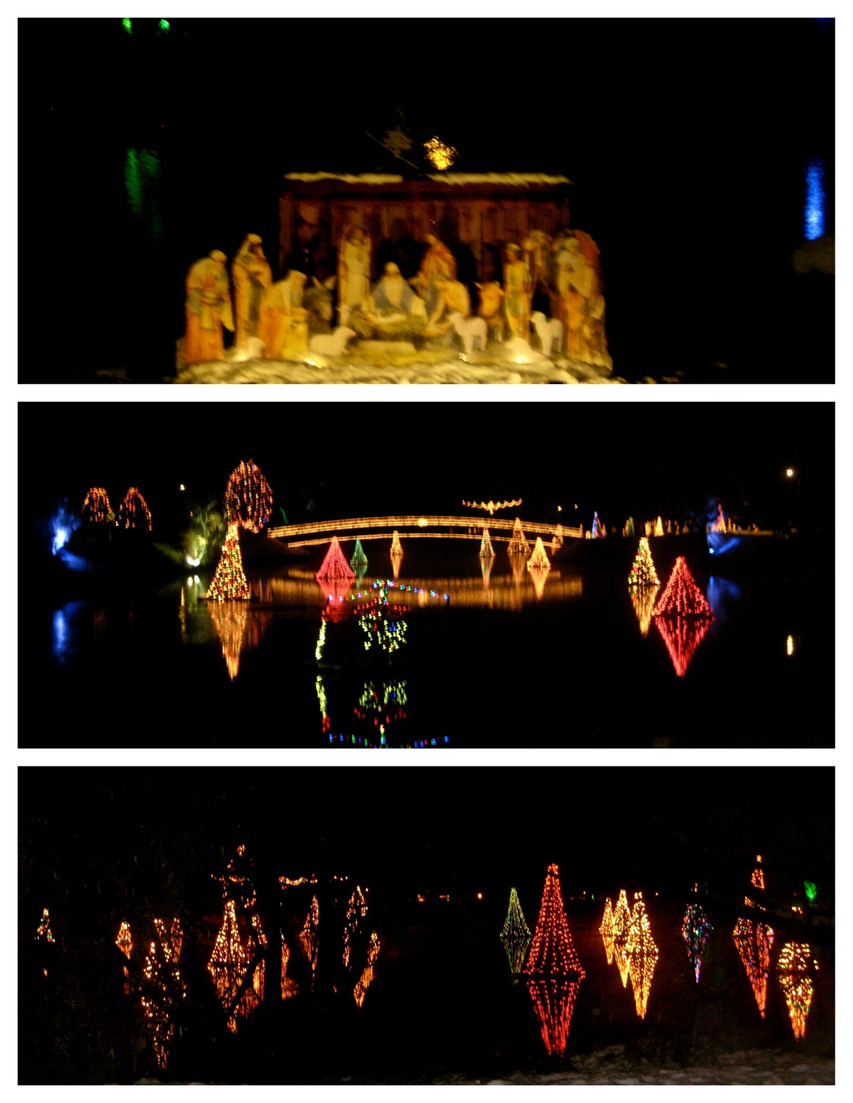 Life of Tracy Christmas in Salem