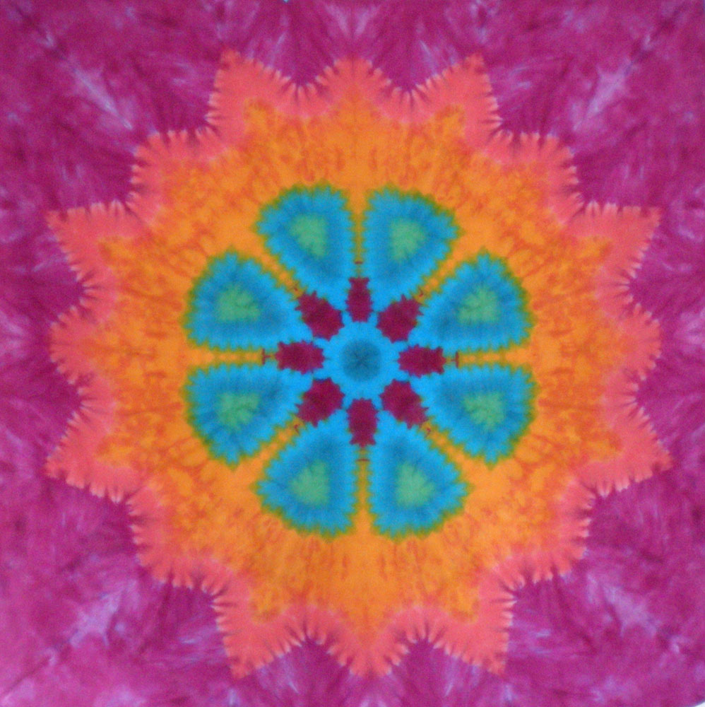 [16ptstarflower12-22.jpg]