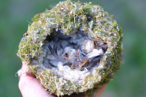 [3930813562_3ffd7aabc3.jpg]