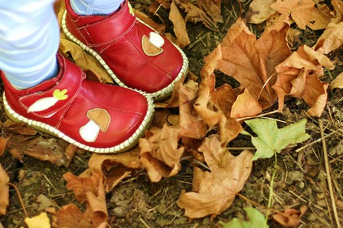 [3930812640_2a73defce2.jpg]