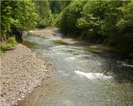 Proposed location for Chehalis River dam