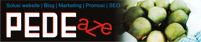 PDAZE : Belajar SEO | Solusi website | Blog | Marketing | Promosi