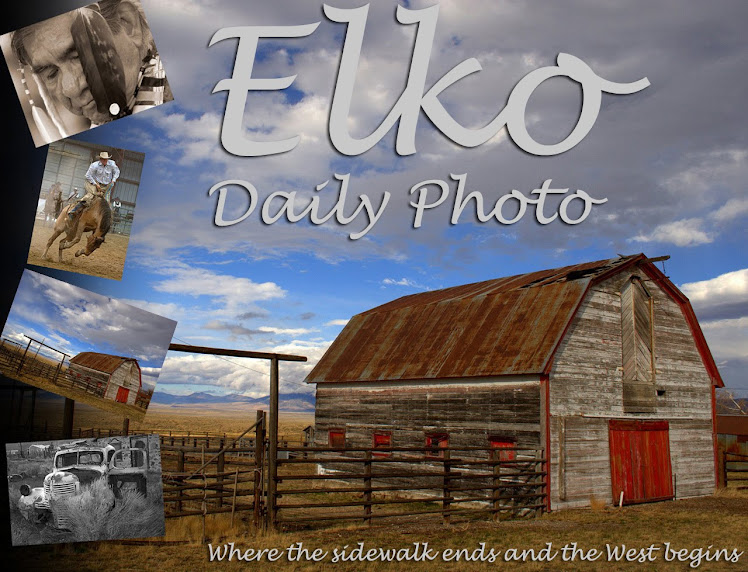 Elko Daily Photo