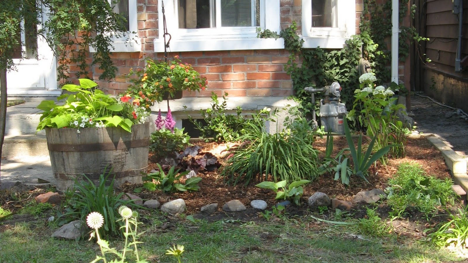 Four Cats and a Garden: July 3: New Front Yard!
