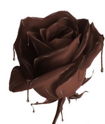 [chocolate-rose.jpg]