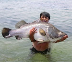 Fishing in Art