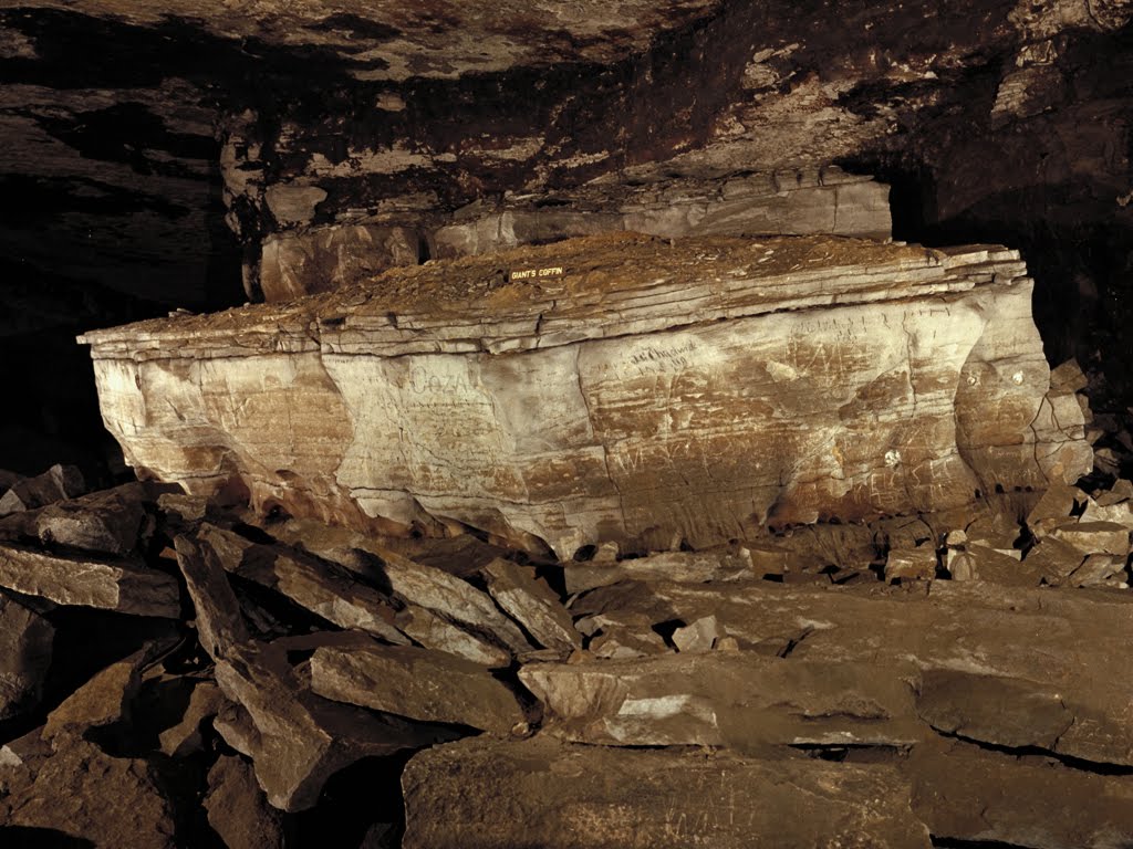 Cave ford mammoth #7