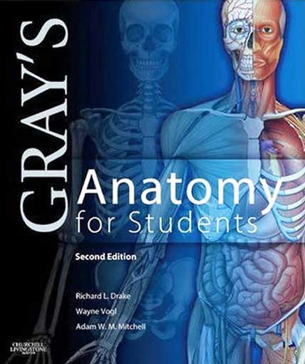 outschool3: Gray's Anatomy for Students - Illustrated eBook