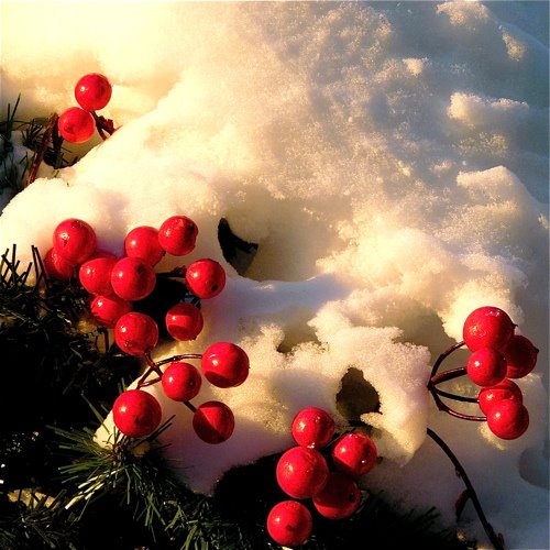 [2130561049_89b1671a3a.jpg]