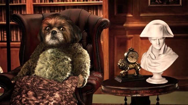 [bLiveh151213-02.jpg]