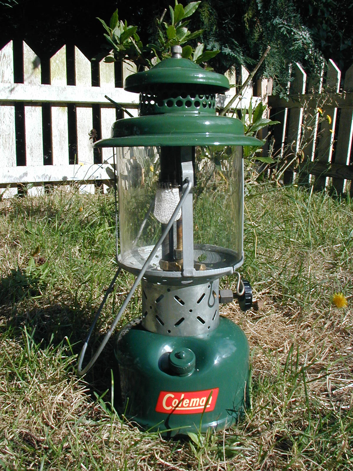 Four Bees Coleman Lantern model 220 E