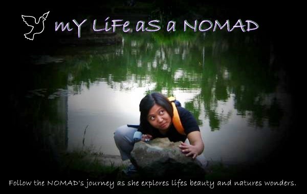 my Life as a NOMAD