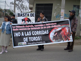 PROTESTA ANTI-TAURINA EN VMT