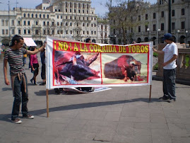 DOMINGO 8: PROTESTA EN ACHO