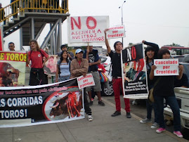 DOMINGO 29: PROTESTA EN ACHO