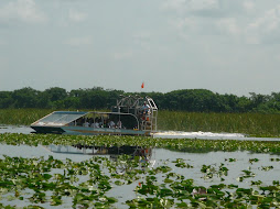 Everglades - Florida