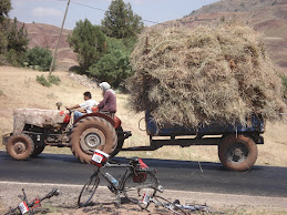 Tractors arethe famıly sedan and workhorse ın Turkey