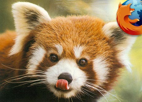 [redpanda.jpg]