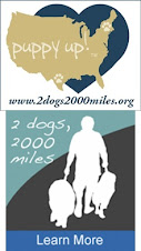 2 Dogs 2000 Miles