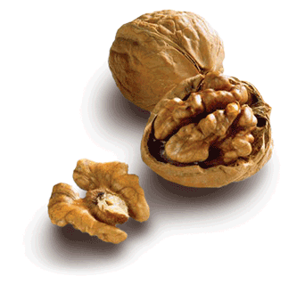 walnuts.gif
