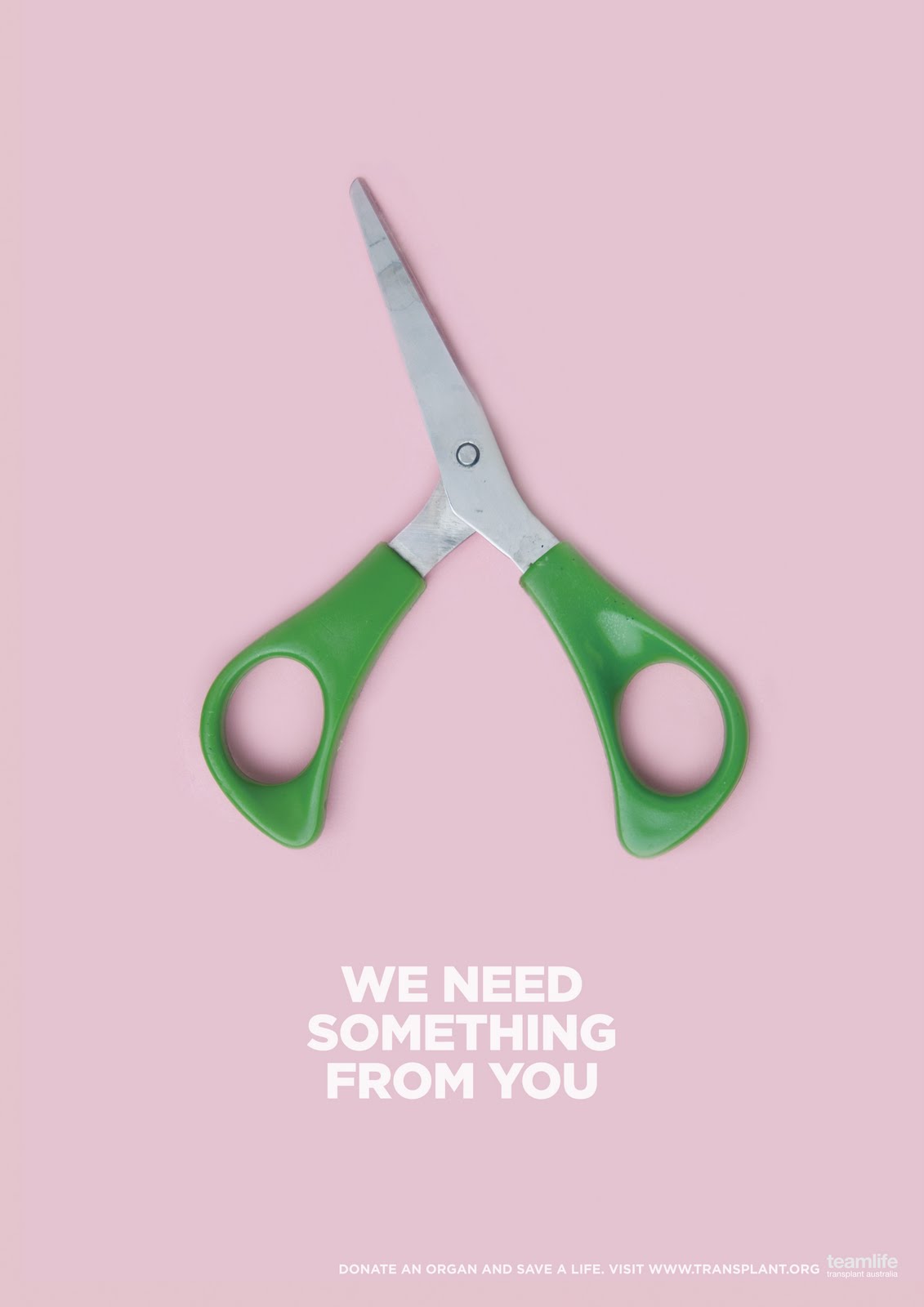 A N D R E W M U R R A Y 3 X Posters For Organ Donation a-n-d-r-e-w-m-u-r-r-a-y-3-x-posters-for-organ-donation