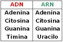[an9.bmp]