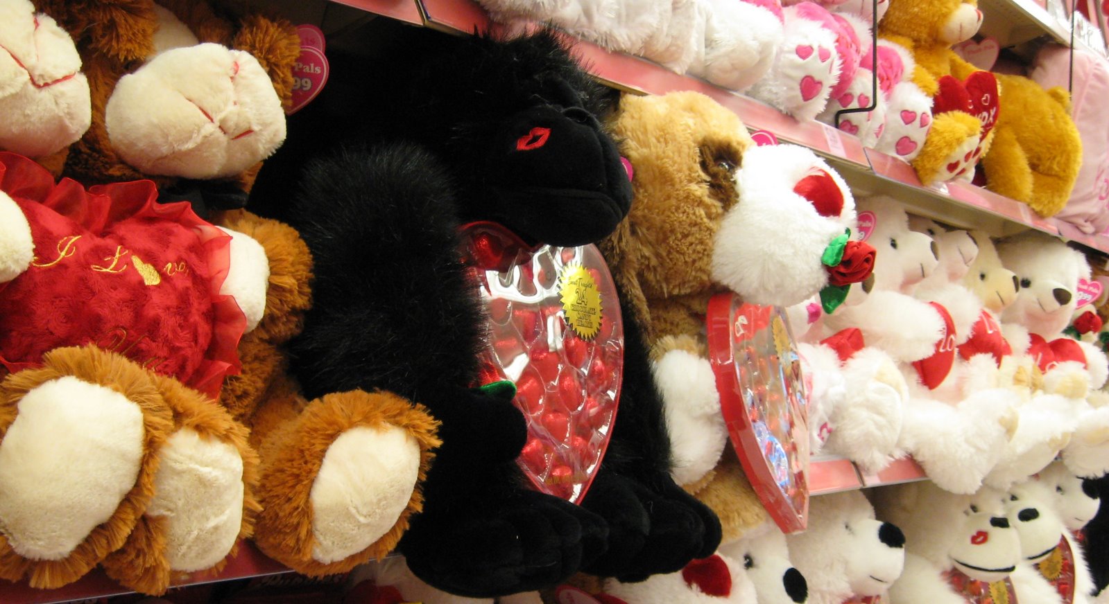 [valentine_stuffed_animals.jpg]